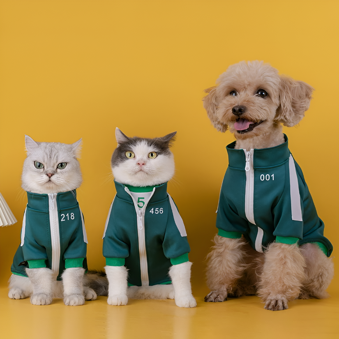 Stylish Comfort — Dressing Up Your Pets